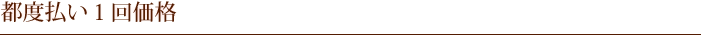都度払い１回価格